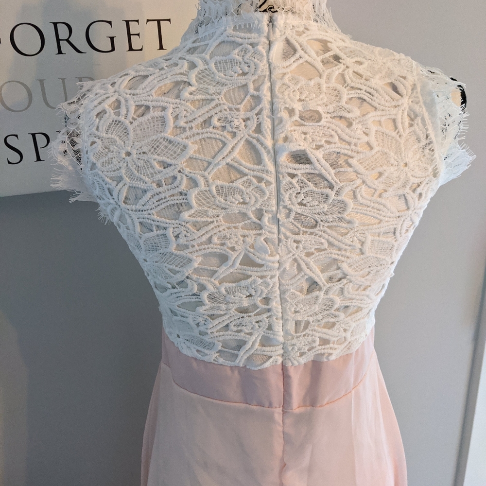 Pink Lace Dress - Picture 3 of 3